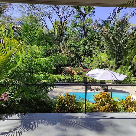 House In The Palm Forest Puerto Carrillo Exterior photo