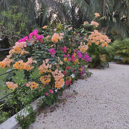 House In The Palm Forest Puerto Carrillo Exterior photo