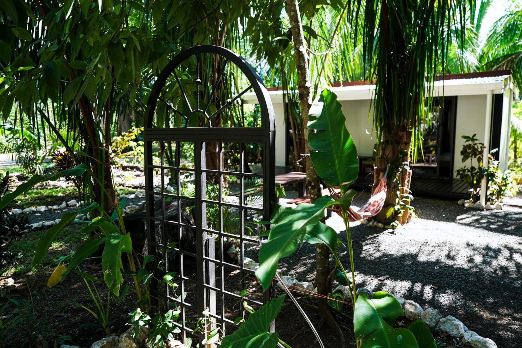 House In The Palm Forest Puerto Carrillo Exterior photo