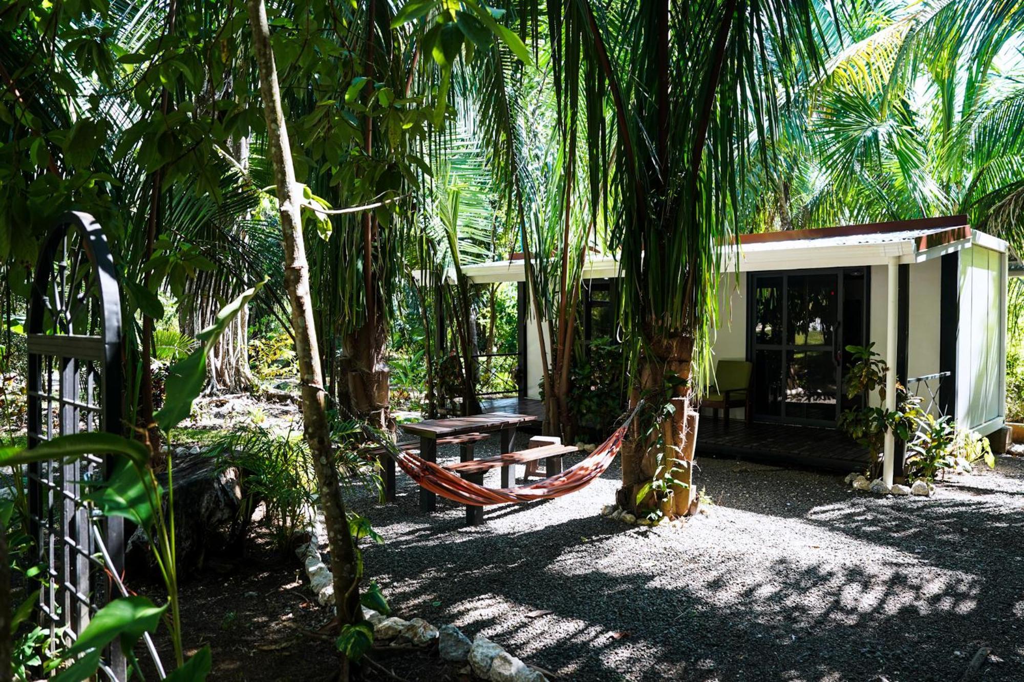 House In The Palm Forest Puerto Carrillo Exterior photo