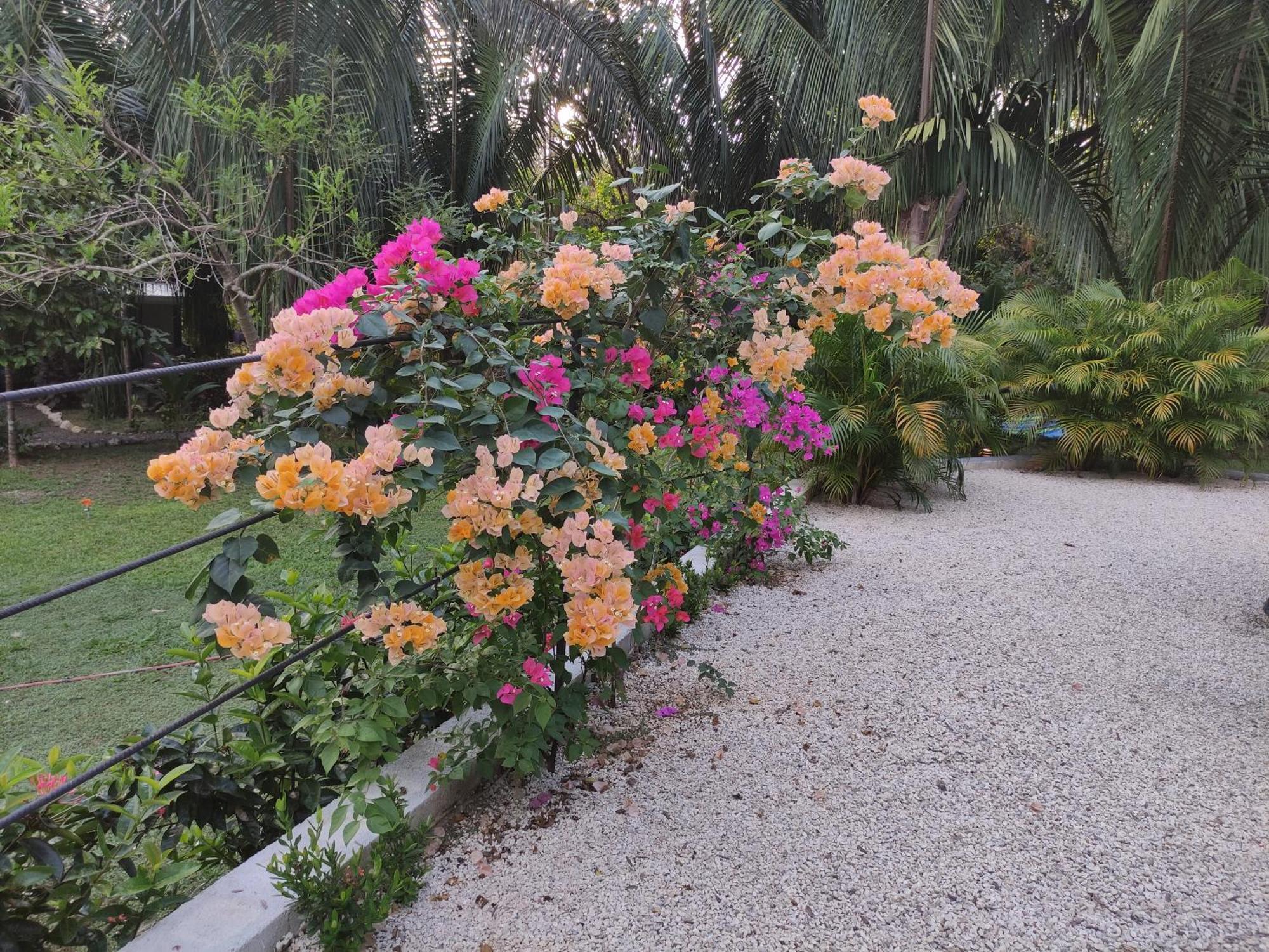 House In The Palm Forest Puerto Carrillo Exterior photo